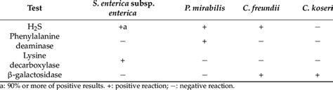citrobacter freundii biochemical tests|Biochemical Identification of Citrobacter Species Defined by DNA .